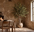 DALDUKKA Spring/Summer Olive Tree